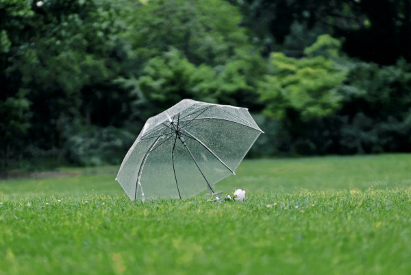 2025野餐攻略|10大戶外裝備實用清單:唔止帳篷/食物 打卡最緊要呢幾樣?