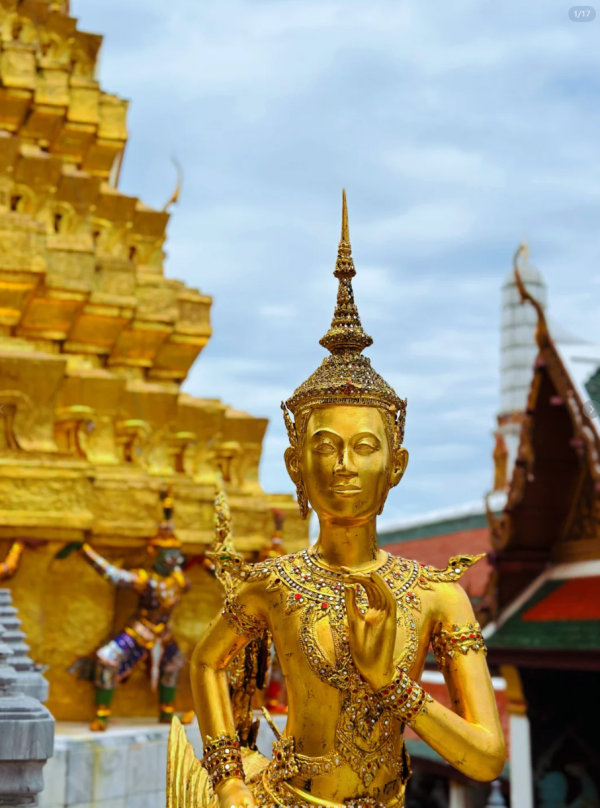 照片來源：小紅書