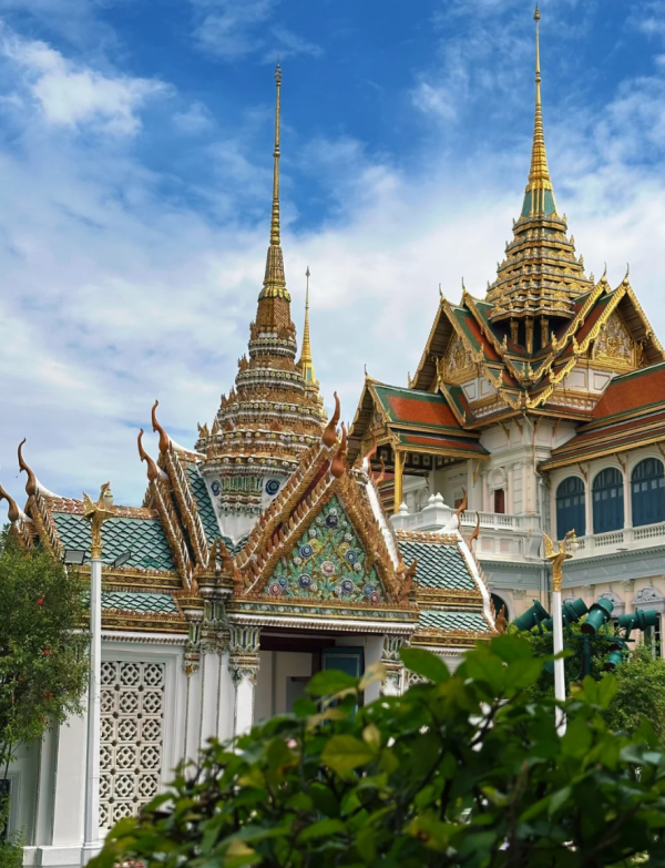 照片來源：小紅書