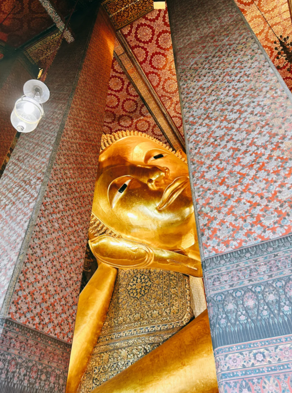 照片來源：小紅書