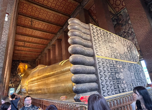 照片來源：小紅書