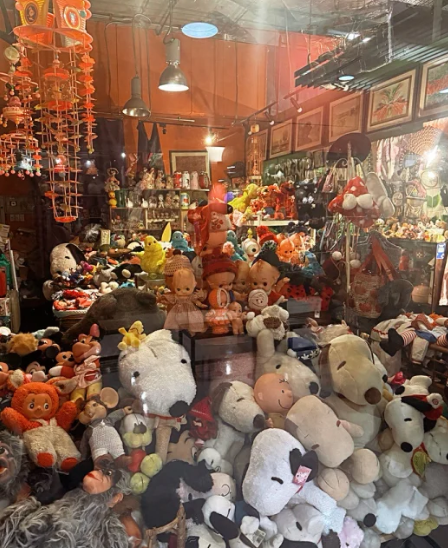 照片來源：小紅書