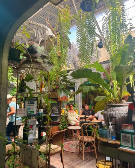 照片來源：小紅書