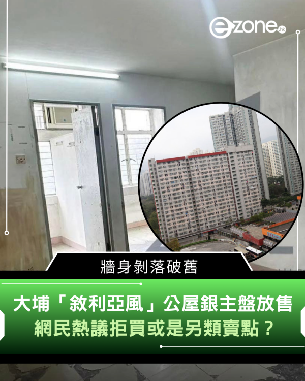 大埔「敘利亞風」公屋銀主盤放售 牆身剝落破舊 網民熱議拒買或是另類賣點？
