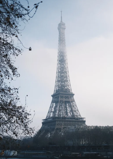 照片來源：小紅書