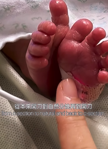 年度回顧｜盤點2025年娛樂圈16位新手爸媽 TVB模範夫妻結婚7年終報喜！呢位秘密生B最震撼！