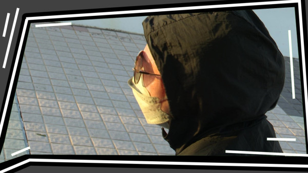 TVB節目巡禮2026|14大綜藝率先睇!全新戀綜:女神配對計劃2/鑽石戀愛計劃