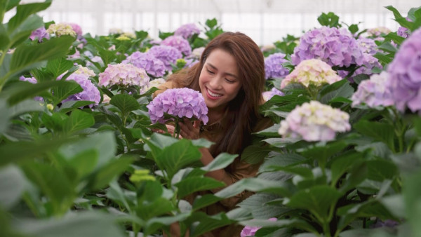 TVB節目巡禮2026|14大綜藝率先睇!全新戀綜:女神配對計劃2/鑽石戀愛計劃