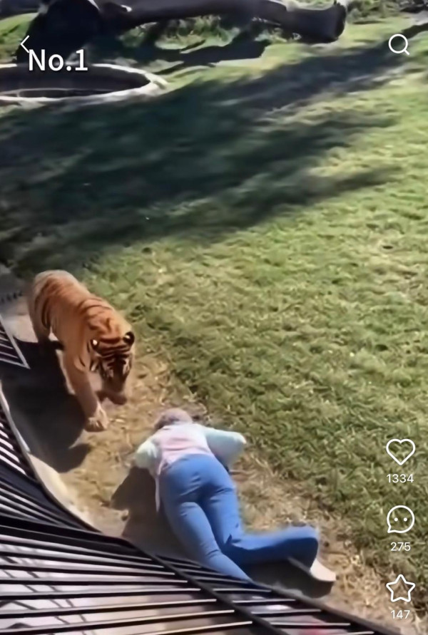 OpenAI Sora 2來襲 AI 影片氾濫真假難辨 教你3招分辨Deepfake內容