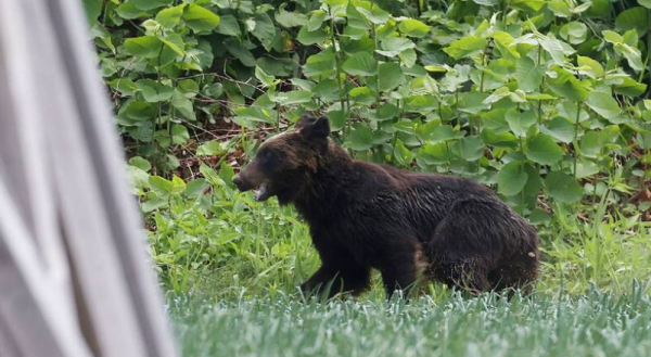 照片來源:路透社 照片來源:路透社