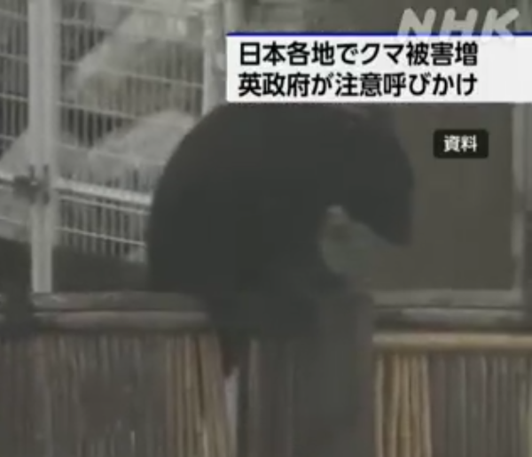 照片來源:NHK News 照片來源:NHK News