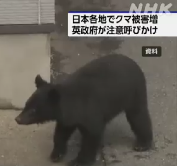 照片來源:NHK News 照片來源:NHK News