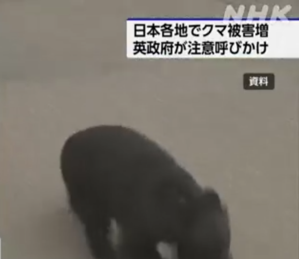 照片來源:NHK News 照片來源:NHK News