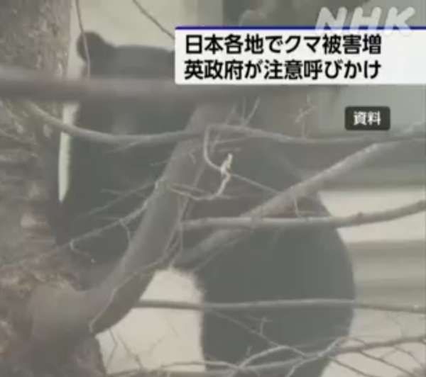 照片來源:NHK News 照片來源:NHK News