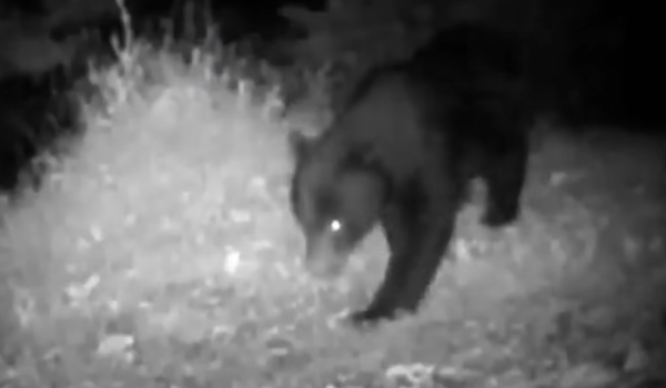 照片來源:網上圖片 照片來源:網上圖片