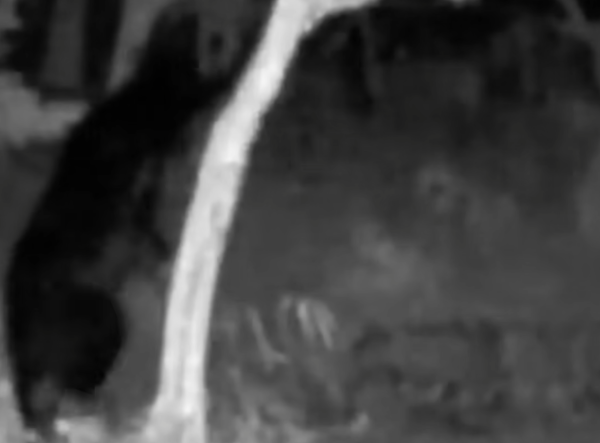 照片來源:網上圖片 照片來源:網上圖片