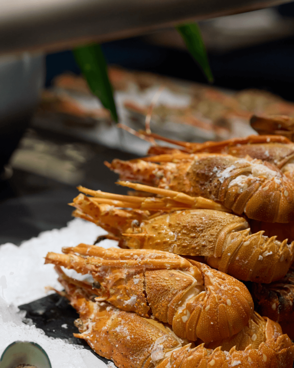 深圳自助餐推介｜深圳10大高CP值自助餐 當季大閘蟹/任食龍蝦/生蠔 