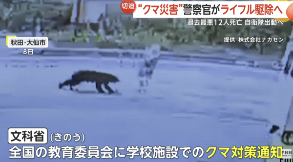 日本熊害｜日政府建議學童帶1物防熊襲 指熊隻或討厭呢種聲！ 