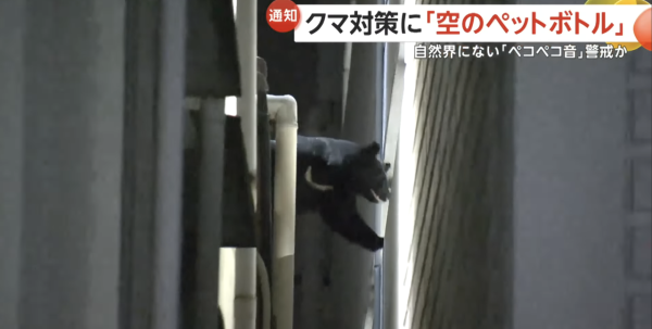 日本熊害｜日政府建議學童帶1物防熊襲 指熊隻或討厭呢種聲！ 