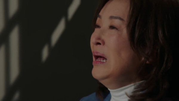 金式森林線上看|1-25集大結局TVB全劇透!每集劇情預告即時更新