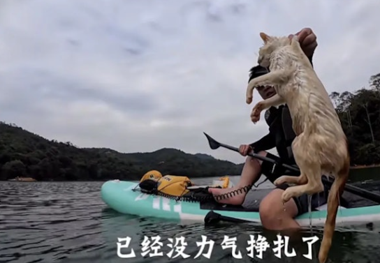 照片來源：小紅書