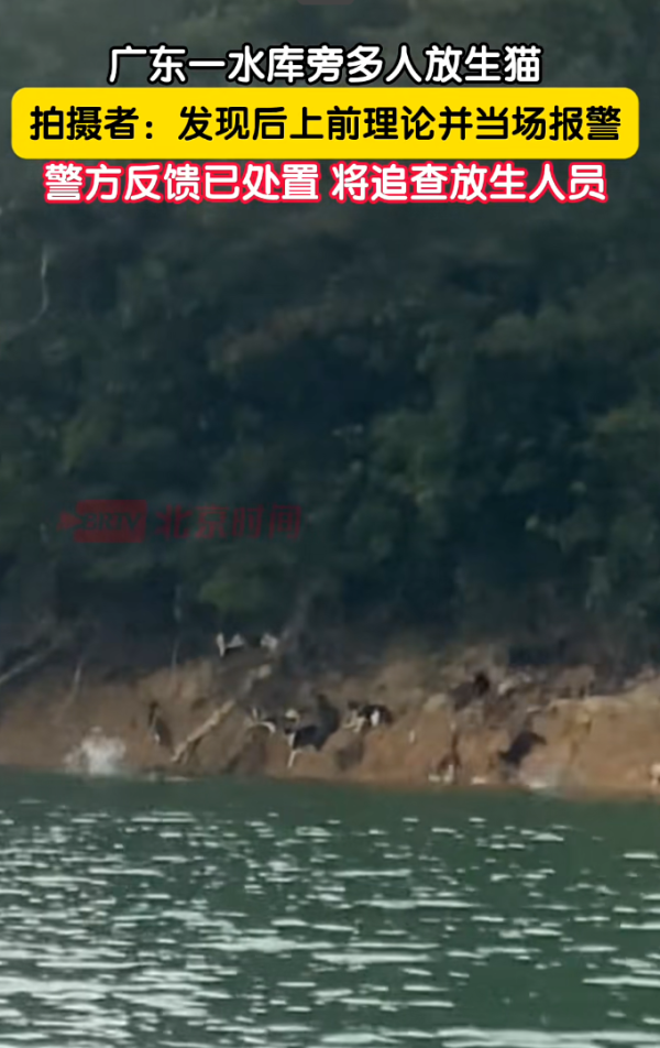 照片來源：小紅書