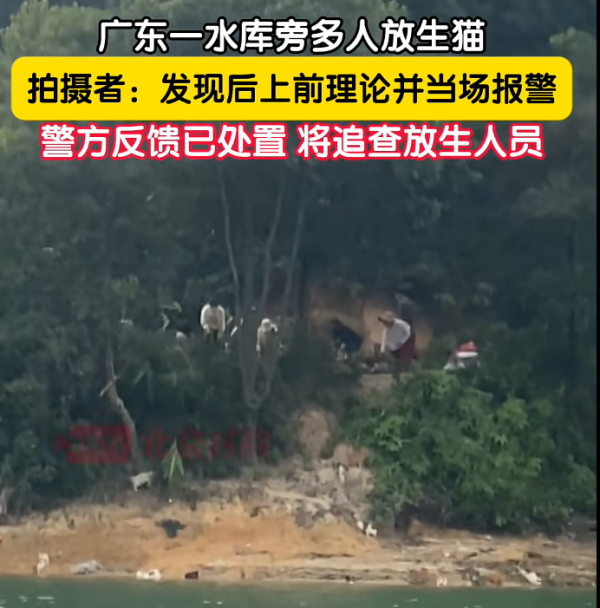 照片來源：小紅書