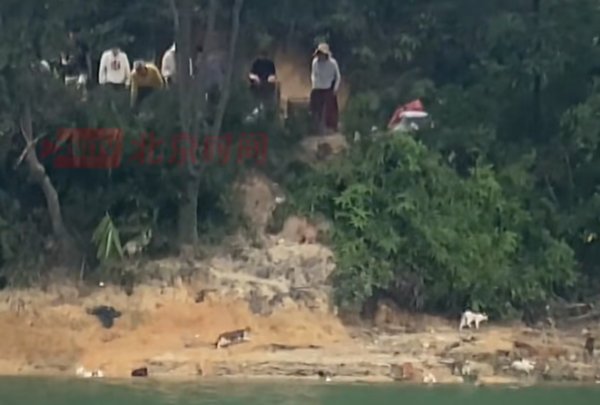 照片來源：小紅書