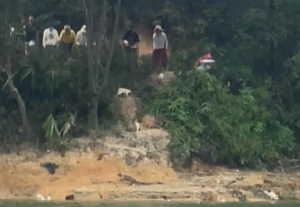 照片來源：小紅書