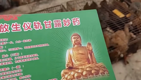 照片來源：小紅書