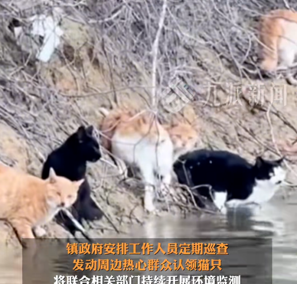 照片來源：小紅書