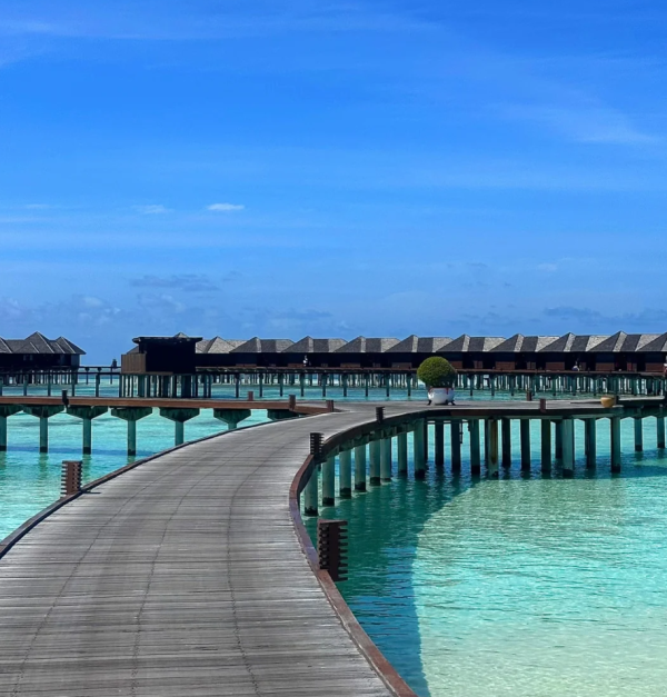 照片來源：小紅書