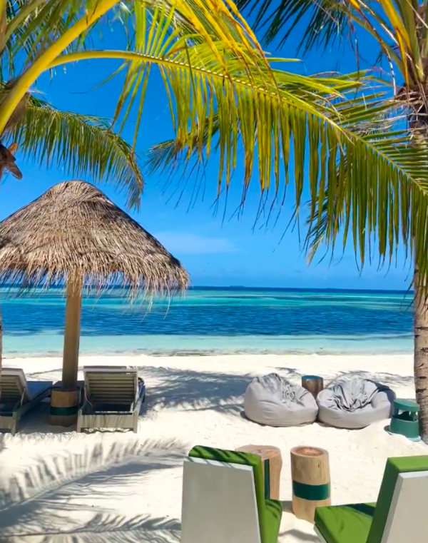 照片來源：小紅書