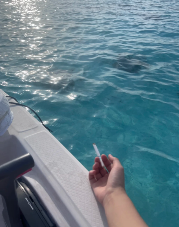 照片來源：小紅書