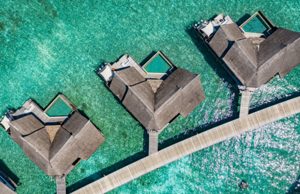 照片來源：小紅書