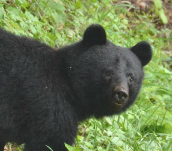 照片來源:IG@kentasuzuki105 照片來源:IG@kentasuzuki105