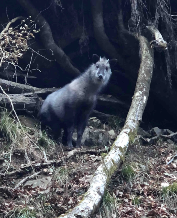 照片來源:小紅書 照片來源:小紅書