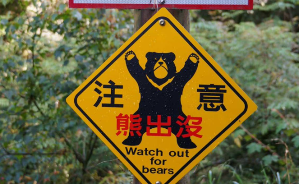 照片來源:官方網站 照片來源:官方網站