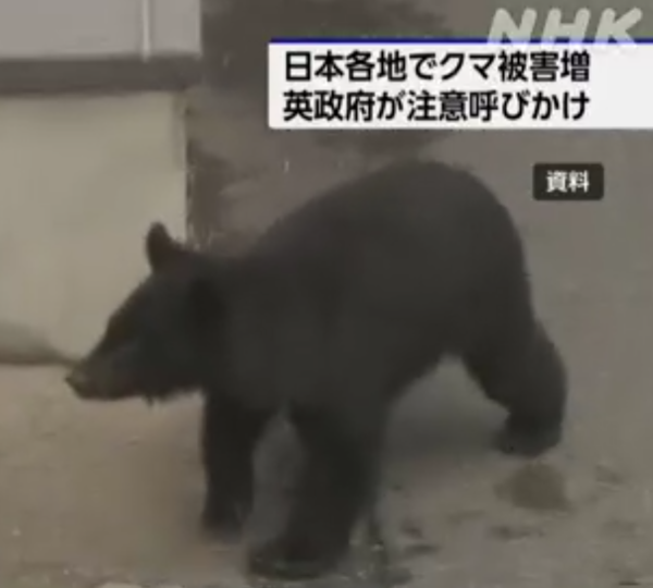 照片來源：NHK News