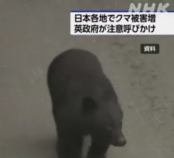 照片來源：NHK News