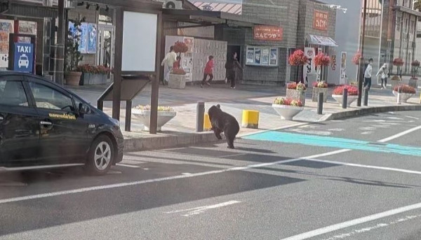 巴士阿婆大聲講電話遭乘客圍勸 竟爆粗反擊「我天生大聲」 司機一招完美收科激讚