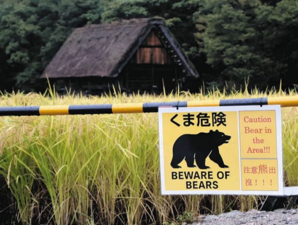 專家稱1日用品或可嚇走野生熊 網民：呢樣嘢我地人類都嫌煩