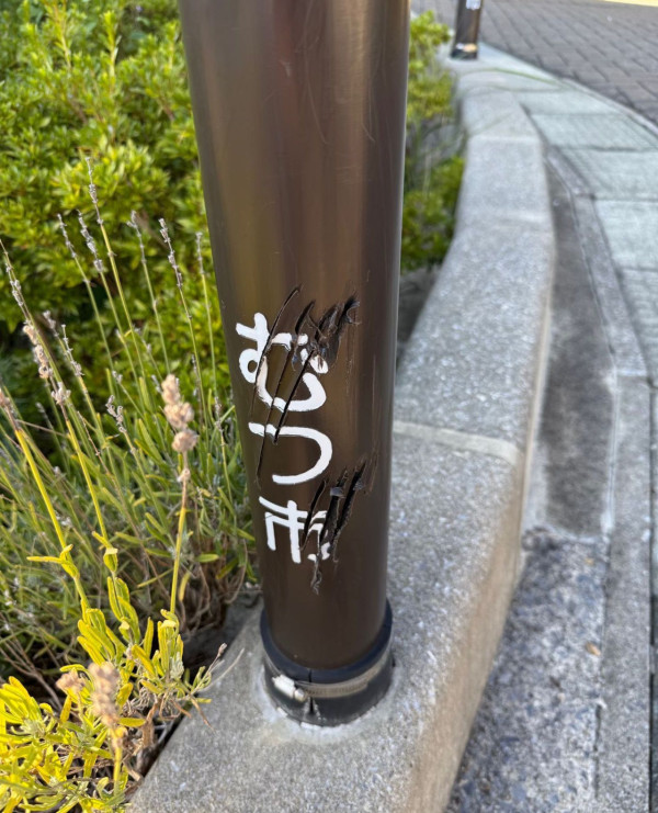 專家稱1日用品或可嚇走野生熊 網民：呢樣嘢我地人類都嫌煩