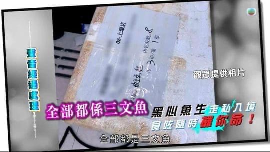 東張西望走私魚生案水落石出！網民為壽司郎不值：根本谷收視