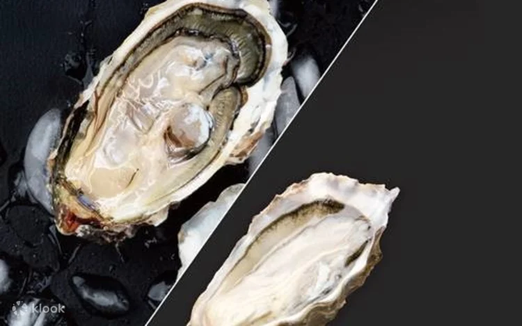 11月酒店自助餐優惠|10間熱搜酒店buffet抵食折扣附購買連結 買一送一/任食生蠔蟹腳