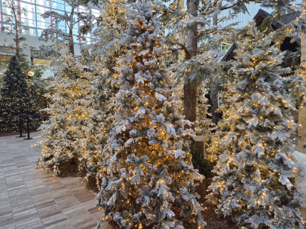 圖片來源：mk.co.kr