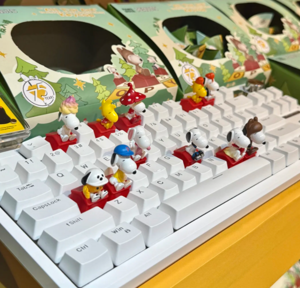 照片來源：小紅書