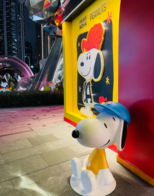 照片來源：小紅書