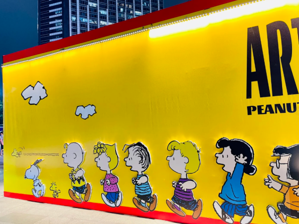 照片來源：小紅書