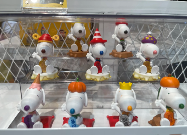 照片來源：小紅書